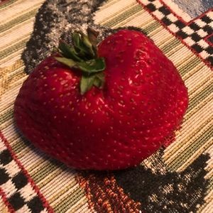 Meet your Posher, Sarag